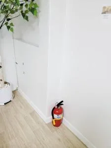 Image 3 of Boo K Stay GR