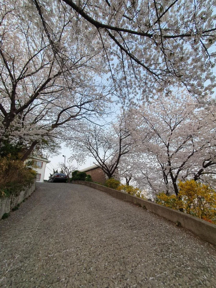 Image 6 of Heukseok Town House