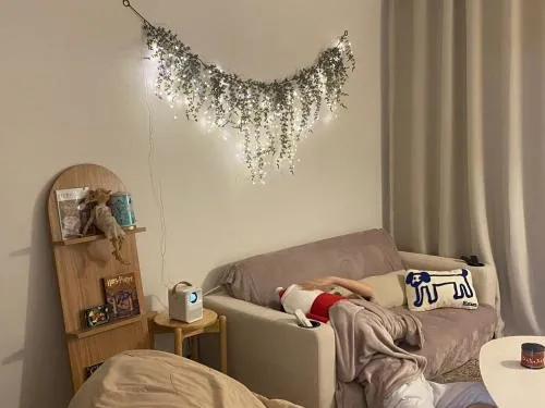 Image 2 of Omok Bridge, 2 room, netflix, youtube