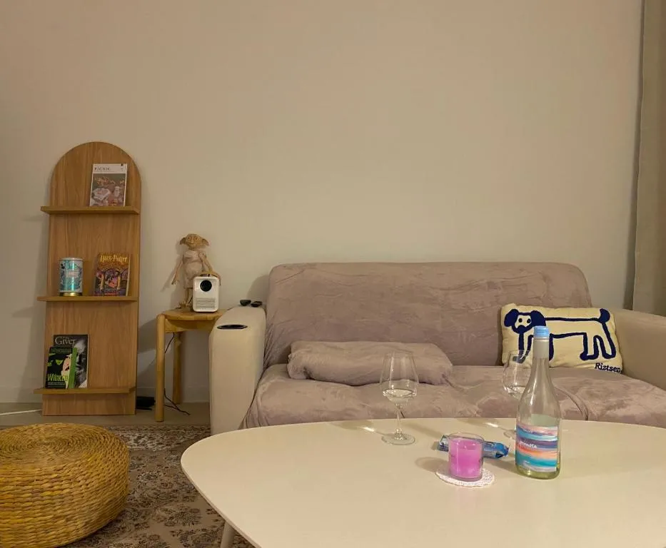Image of Omok Bridge, 2 room, netflix, youtube