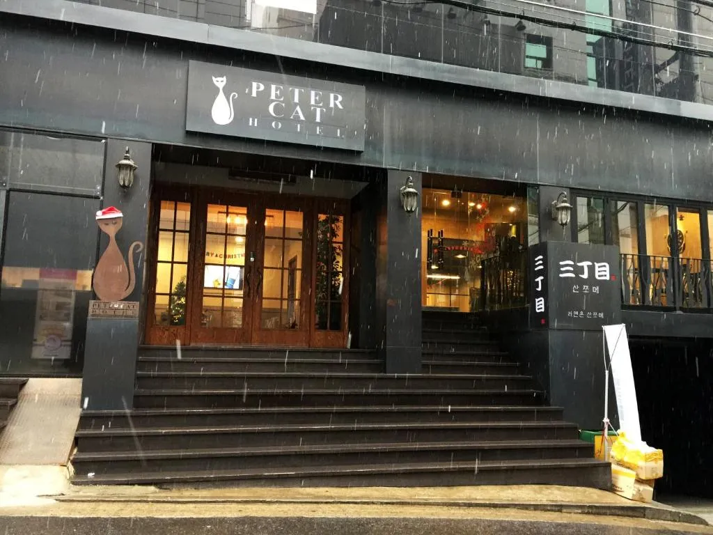 Image of Petercat Hotel Shinchon