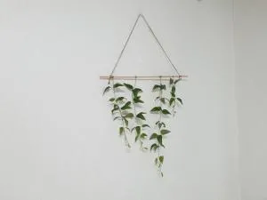 Image 4 of Seoul House