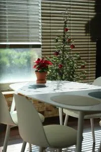 Image 5 of Stay Vibe Healing House