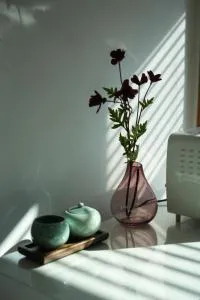 Image 3 of Stay Vibe Healing House