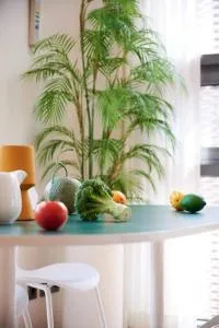 Image 4 of Wave Family Suite #2