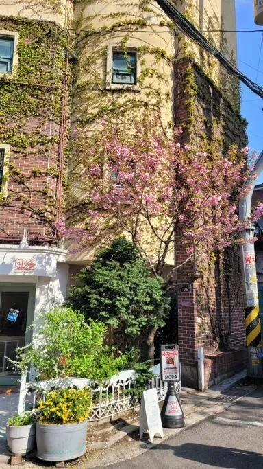 Image 6 of Artistic inspiration 2BR #Local #Rest #Private OnModa