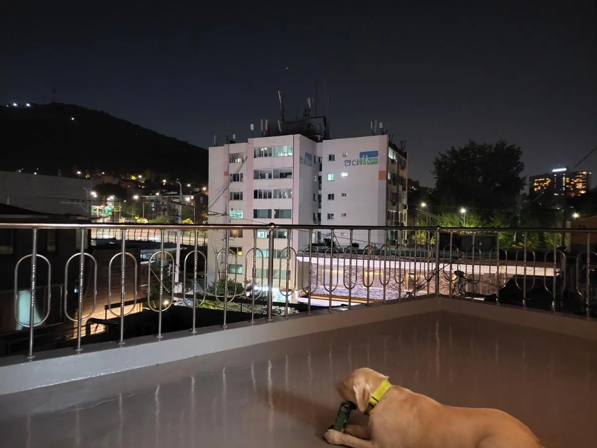 Image 4 of Cozy Rooftop View #12