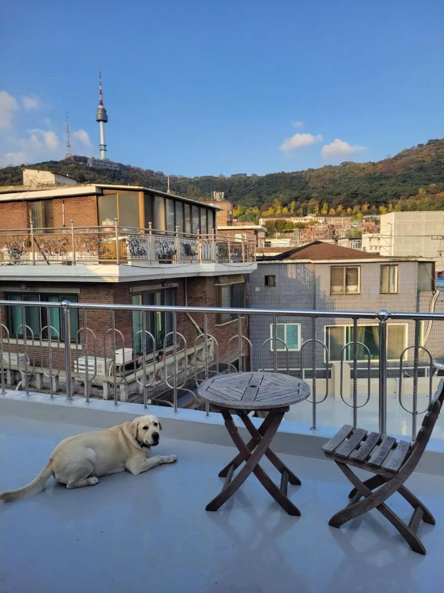 Image 2 of Cozy Rooftop View #12