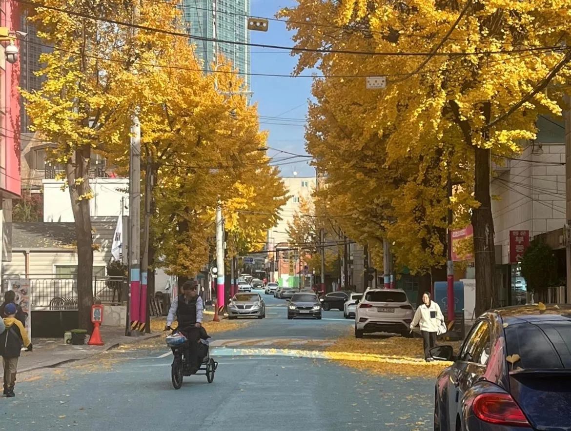 Image 6 of Happy Hapjeong Home