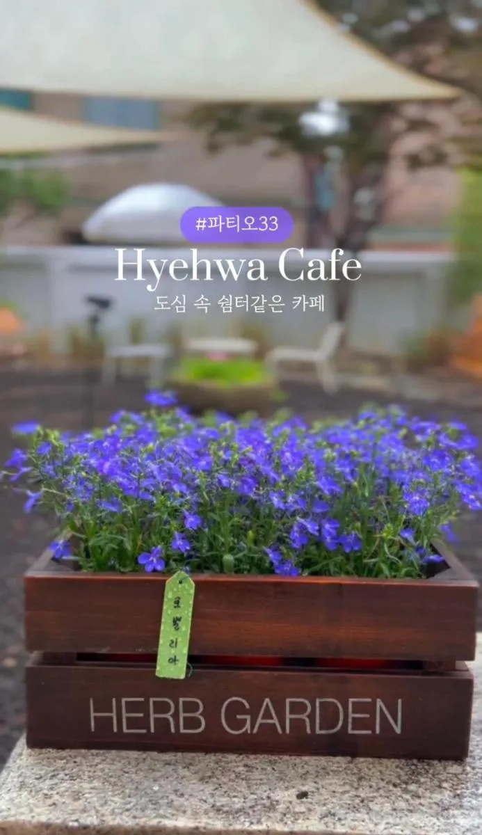 Image 3 of Sabrina in Hyehwa Seoul