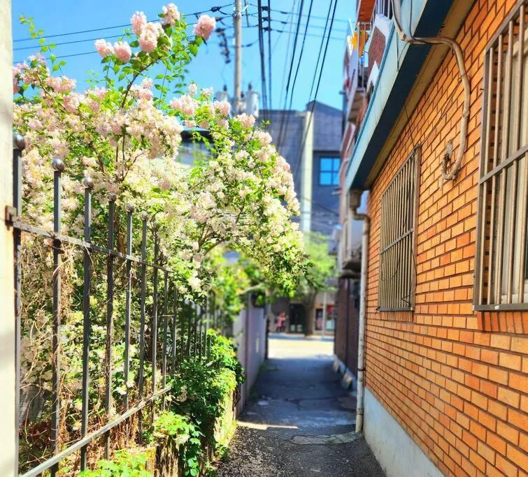 Image 3 of Stay Byulbam – 5mins to Hyochang Park Station