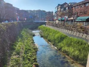 Image 6 of staysamsun
