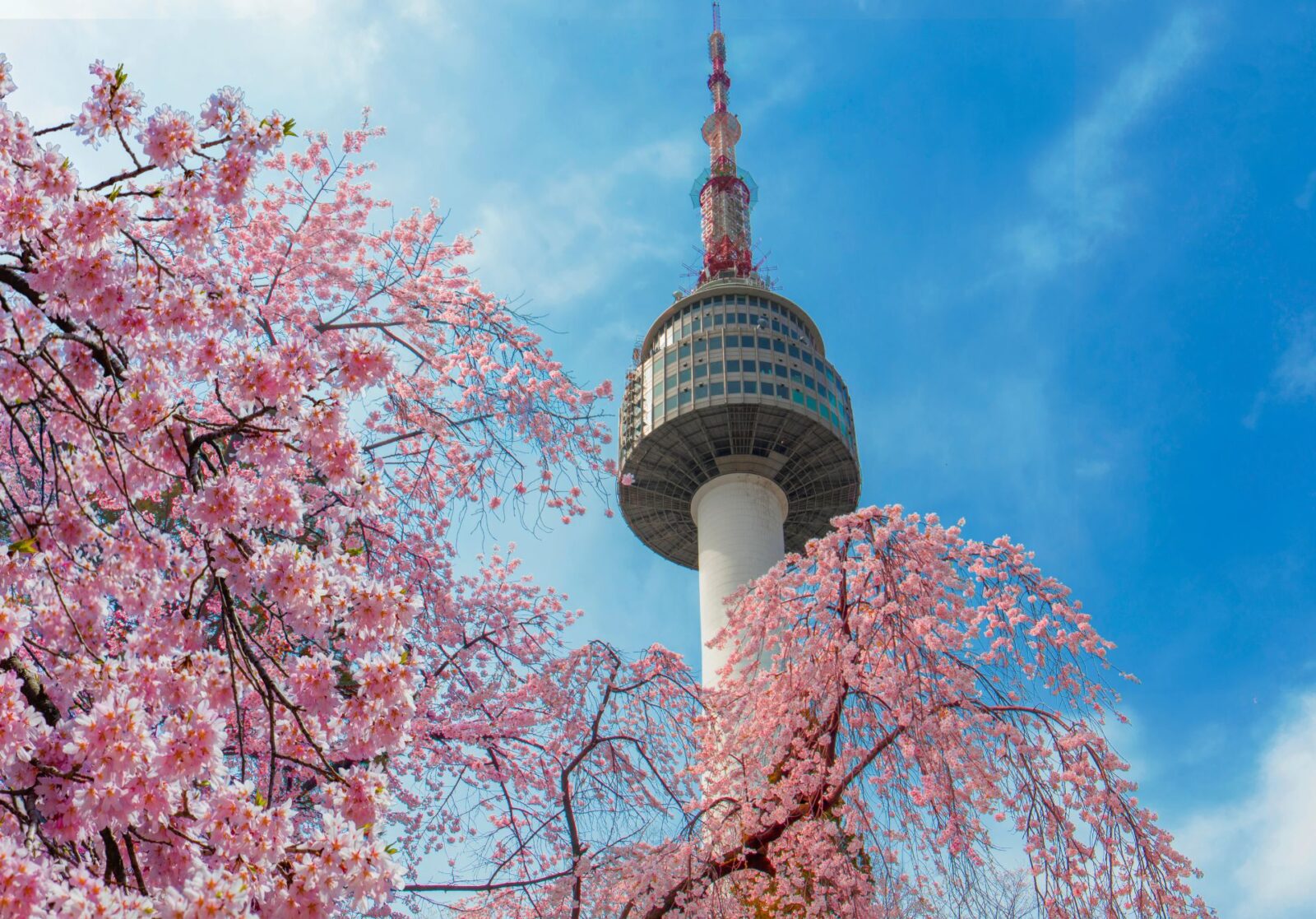 N Seoul Tower